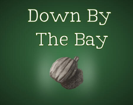 promo picture for 'down by the bay'